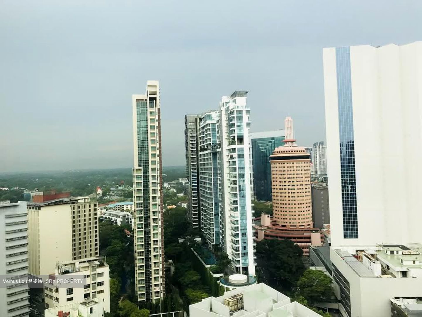 Park Infinia At Wee Nam (D11), Condominium #603071111